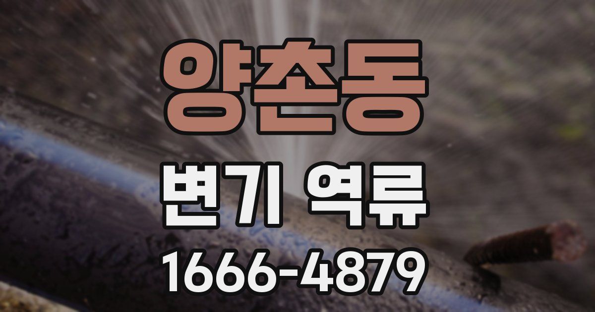 양촌동 변기 역류