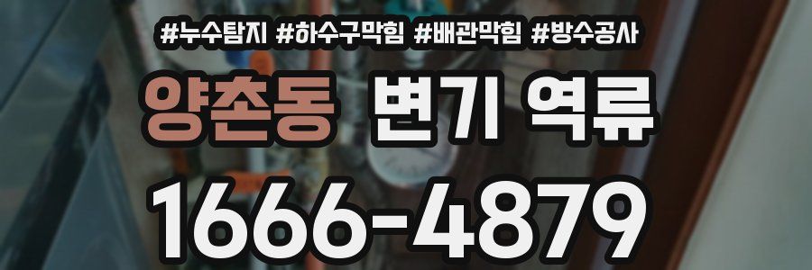 양촌동 변기 역류