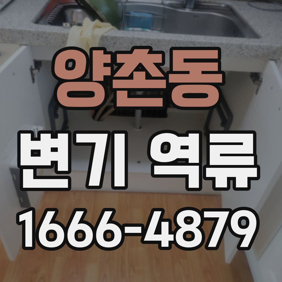 양촌동 변기 역류