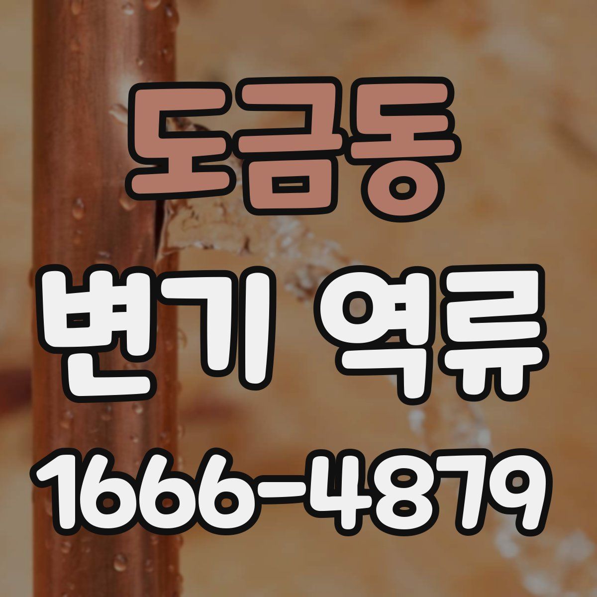 도금동 변기 역류
