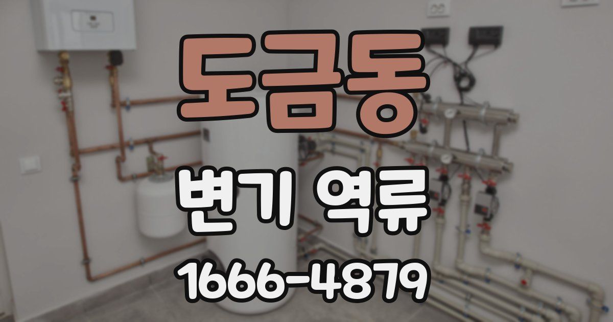 도금동 변기 역류