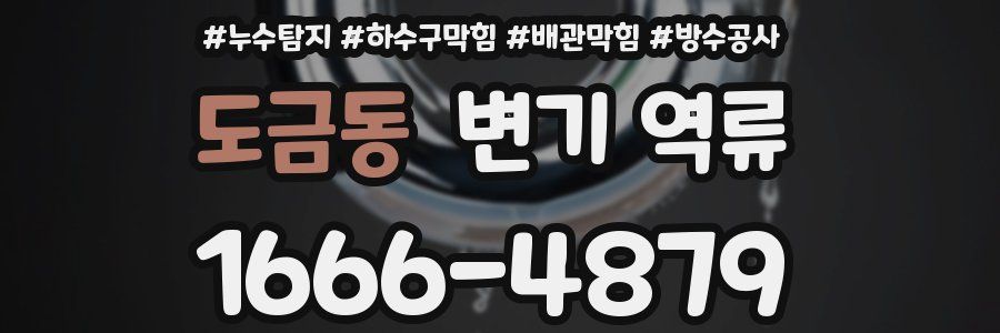 도금동 변기 역류