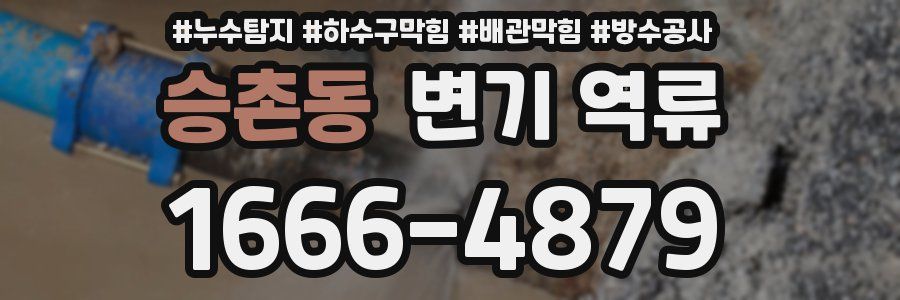 승촌동 변기 역류