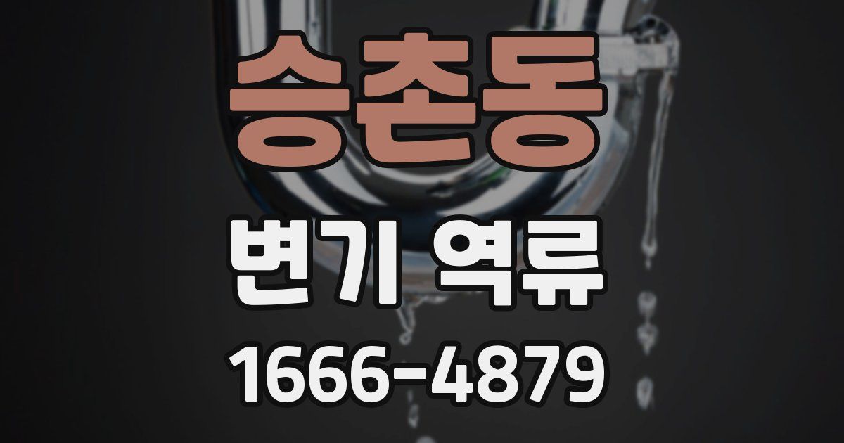 승촌동 변기 역류