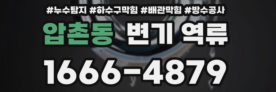 압촌동 변기 역류