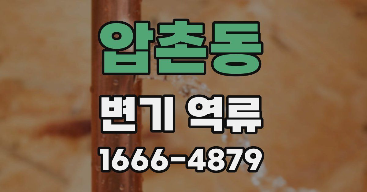 압촌동 변기 역류