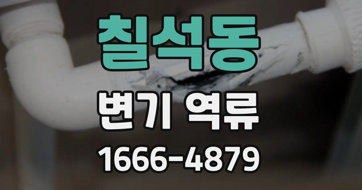 칠석동 변기 역류