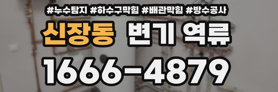 신장동 변기 역류