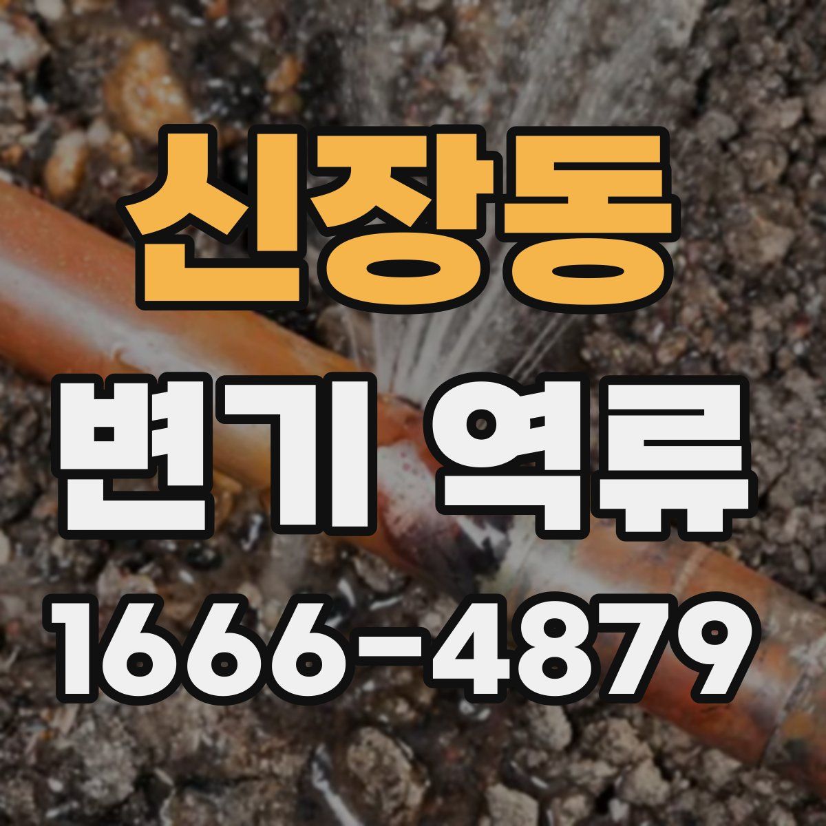 신장동 변기 역류