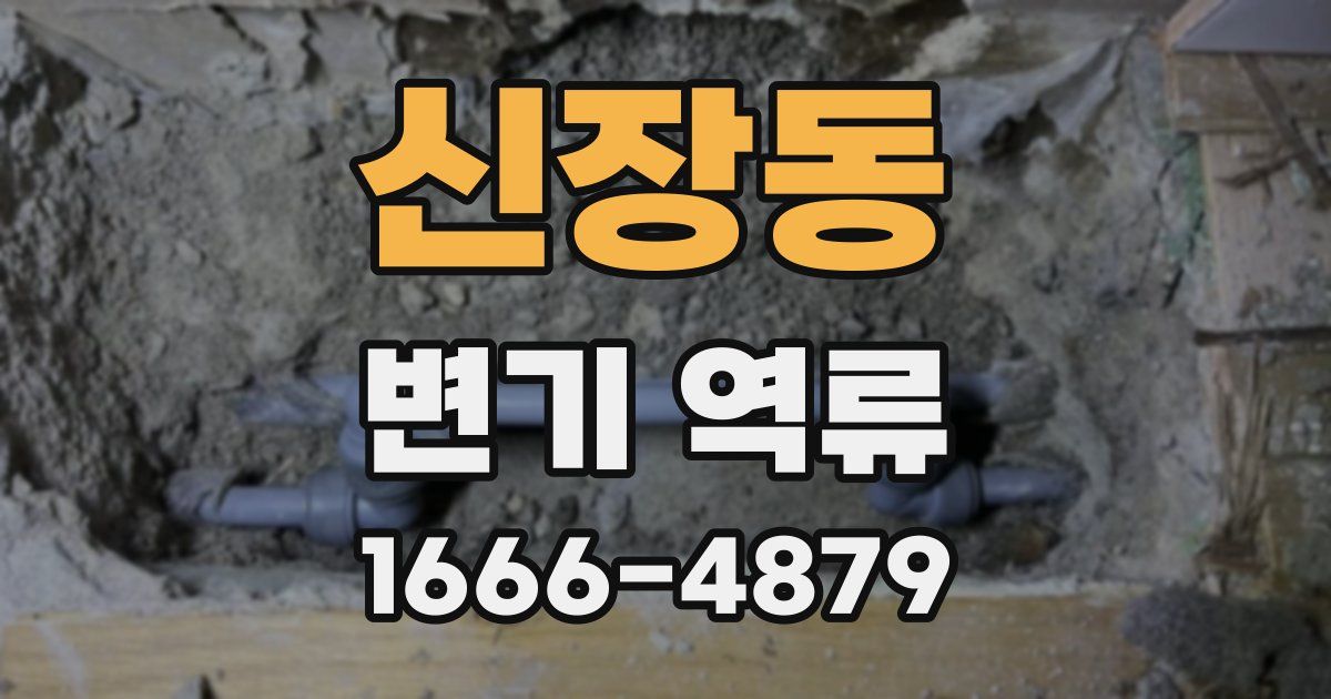 신장동 변기 역류
