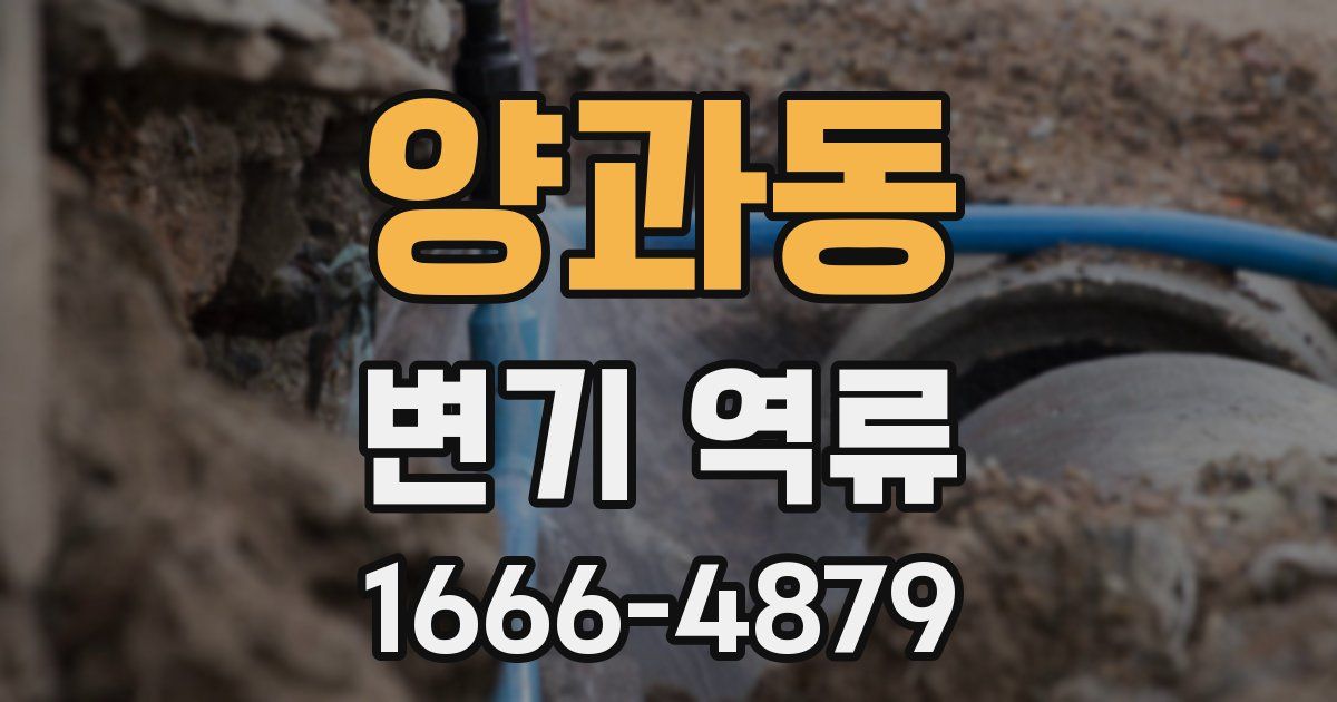 양과동 변기 역류