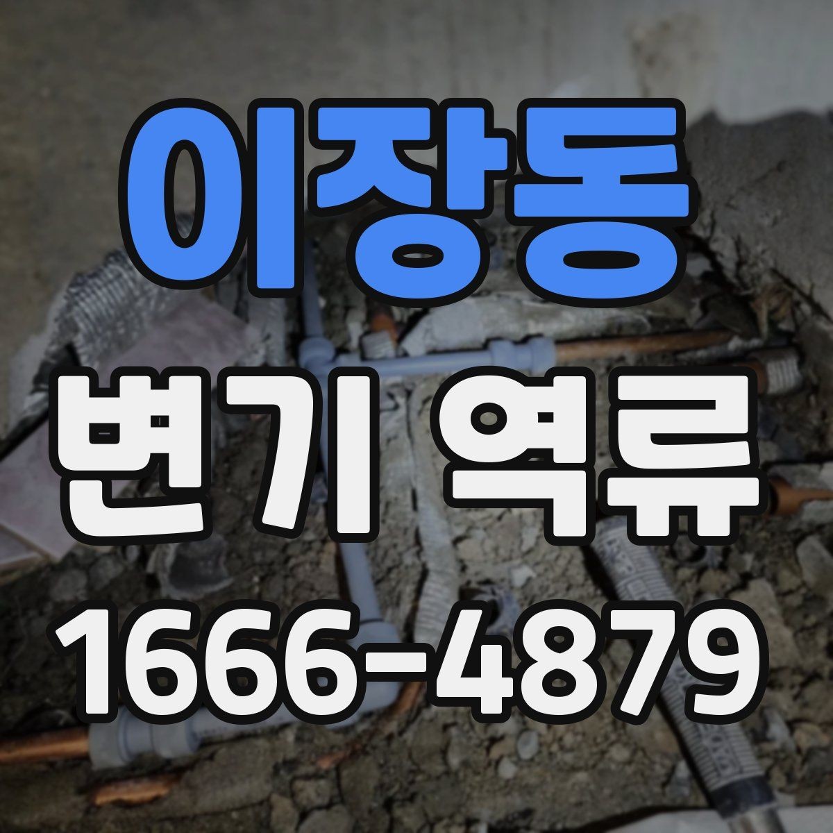 이장동 변기 역류 막힘과 함께 나타나는 징후