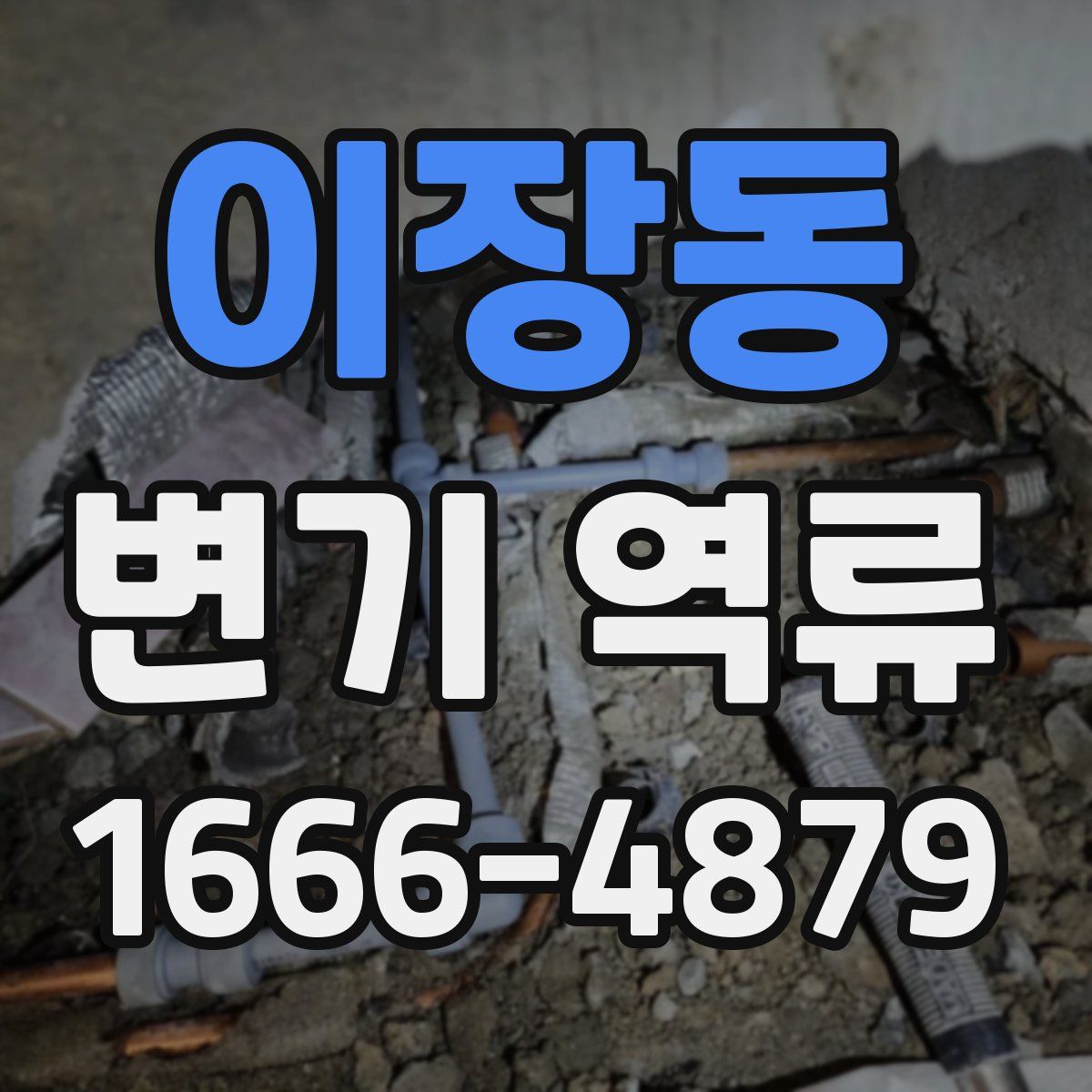 이장동 변기 역류