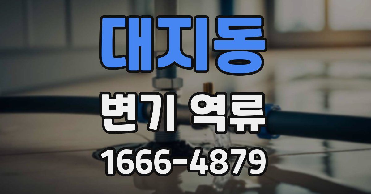 대지동 변기 역류