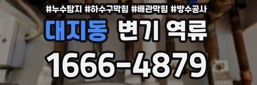 대지동 변기 역류
