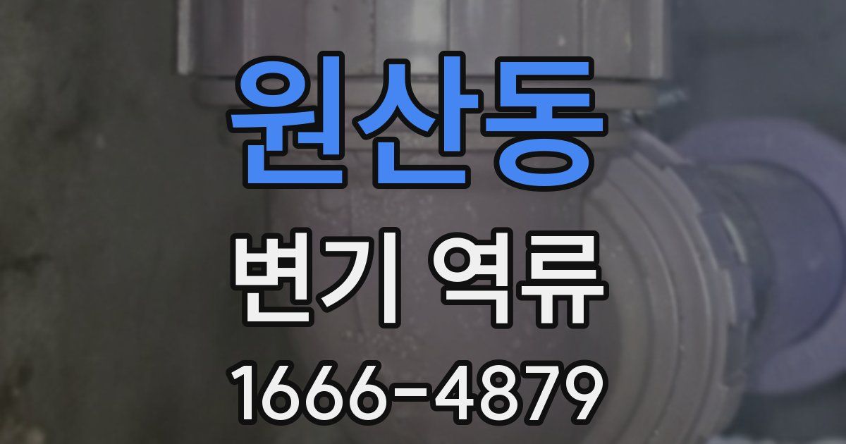 원산동 변기 역류