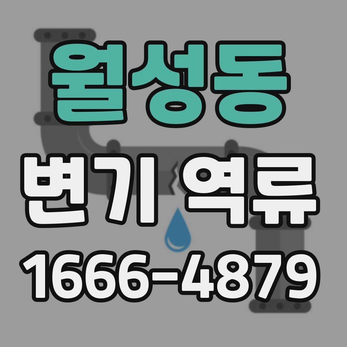 월성동 변기 역류