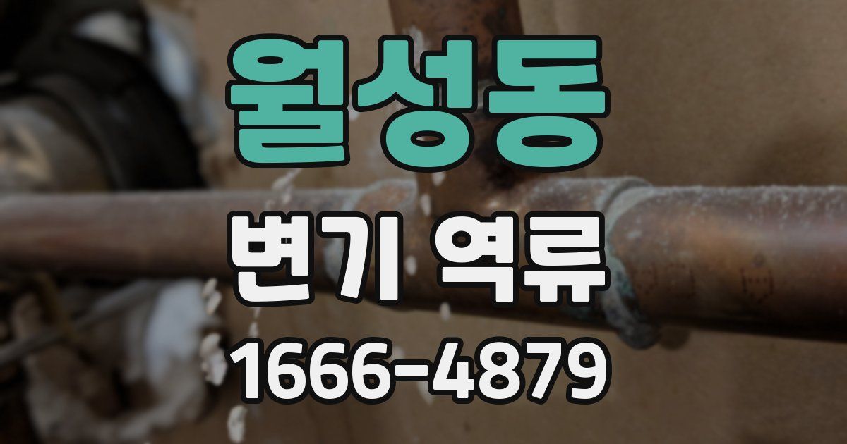 월성동 변기 역류