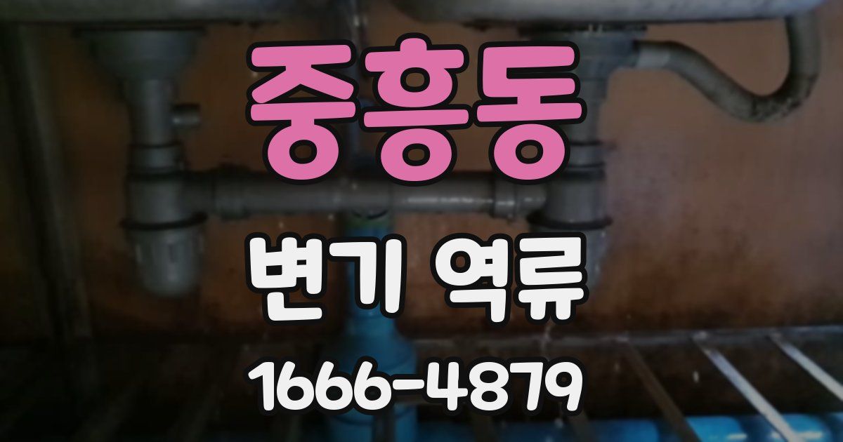 중흥동 변기 역류