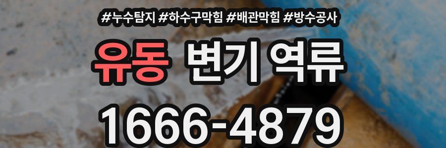 유동 변기 역류