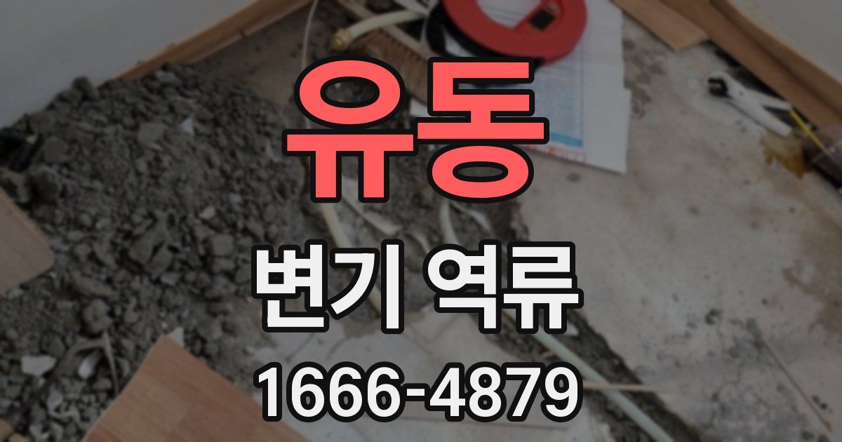 유동 변기 역류