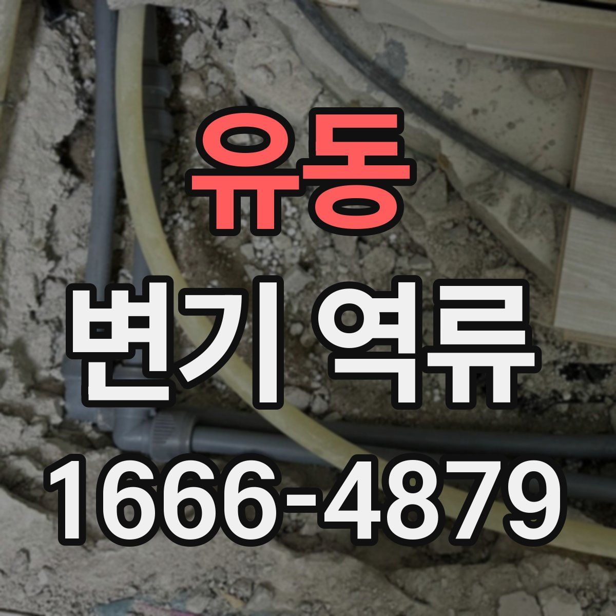 유동 변기 역류
