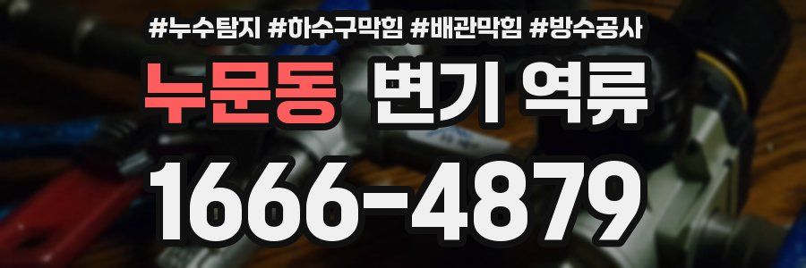 누문동 변기 역류