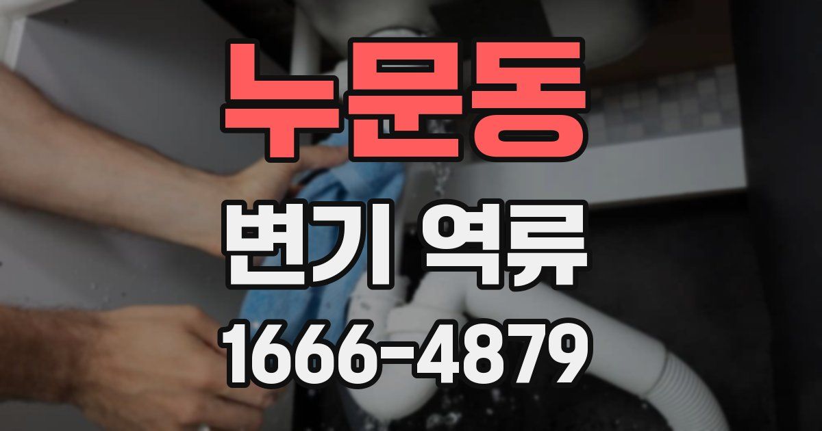 누문동 변기 역류