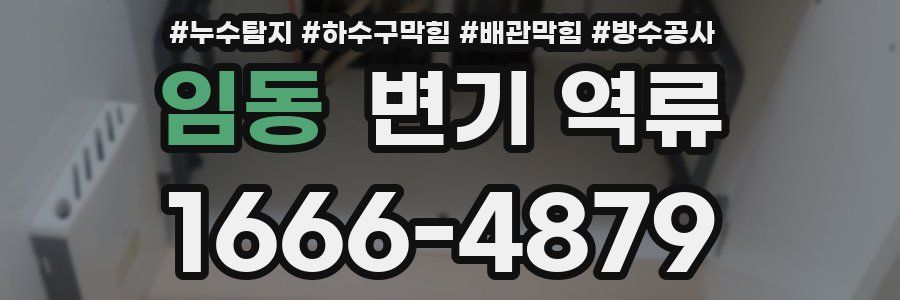 임동 변기 역류