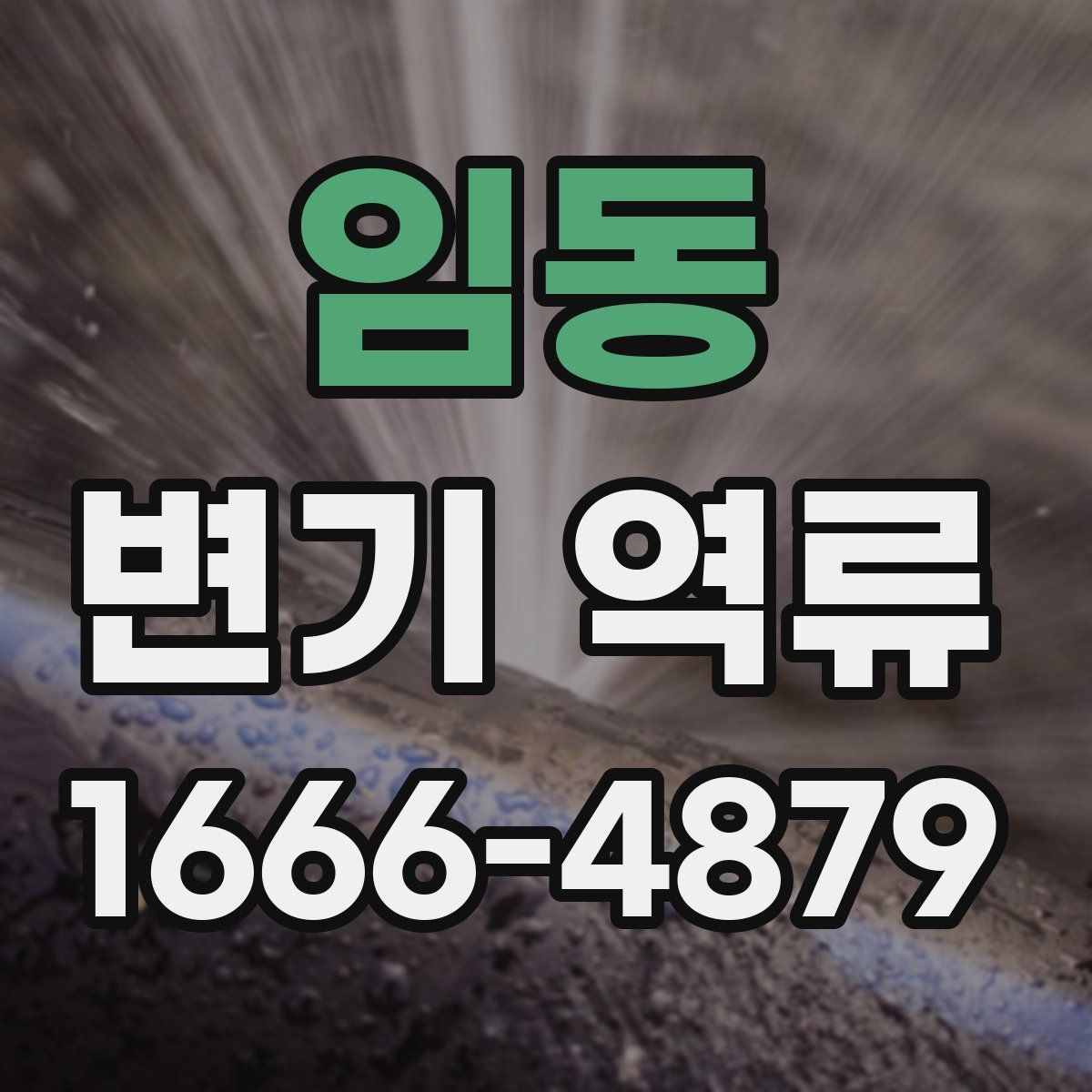 임동 변기 역류