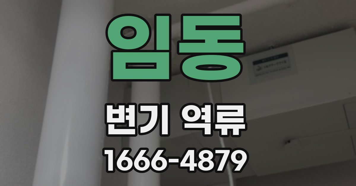 임동 변기 역류