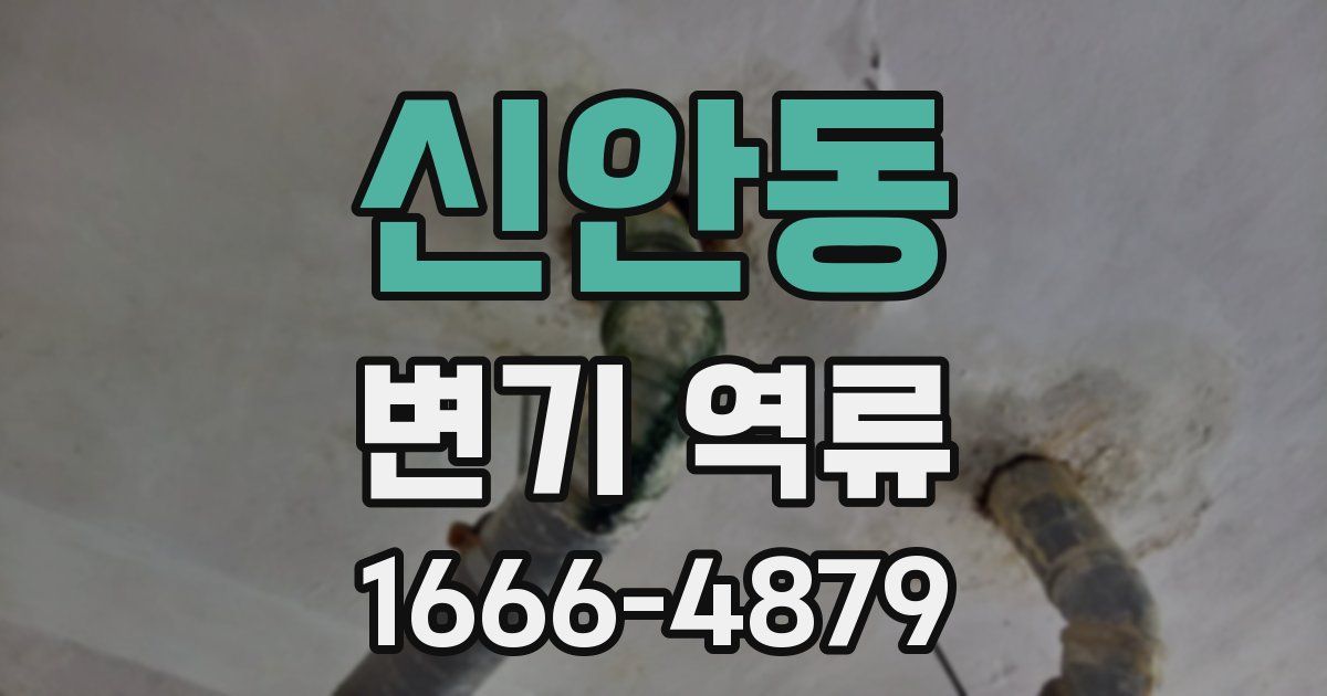 신안동 변기 역류