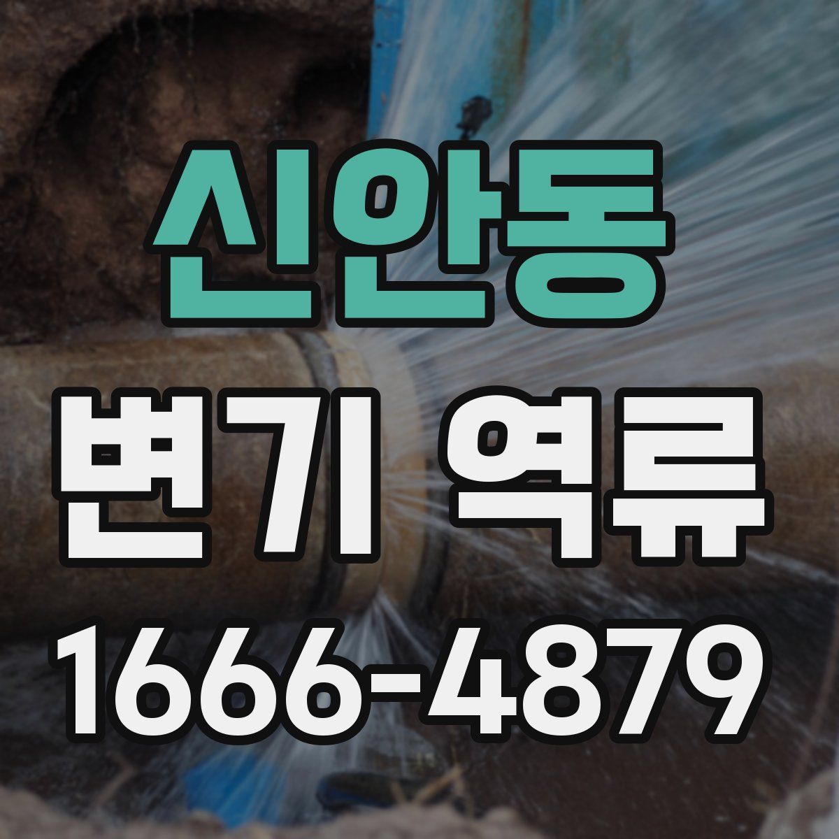 신안동 변기 역류