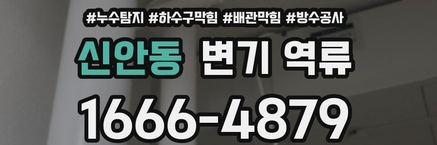 신안동 변기 역류