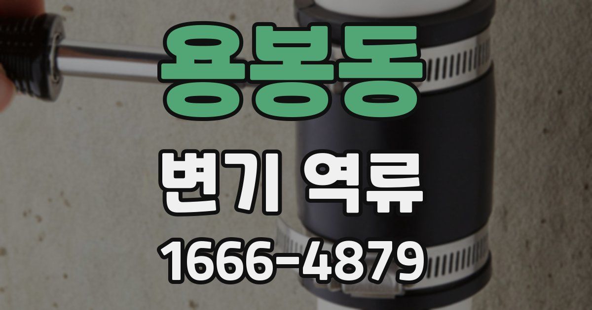 용봉동 변기 역류