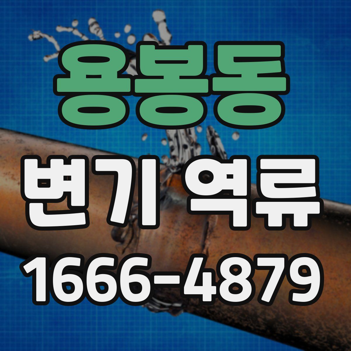 용봉동 변기 역류