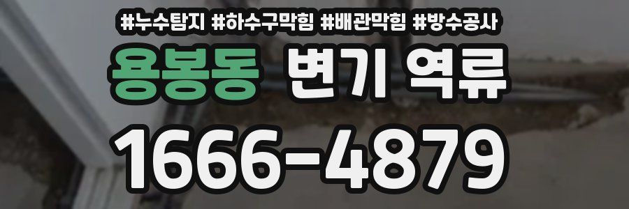 용봉동 변기 역류