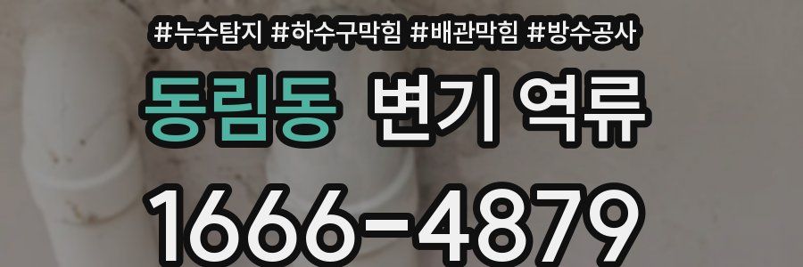 동림동 변기 역류