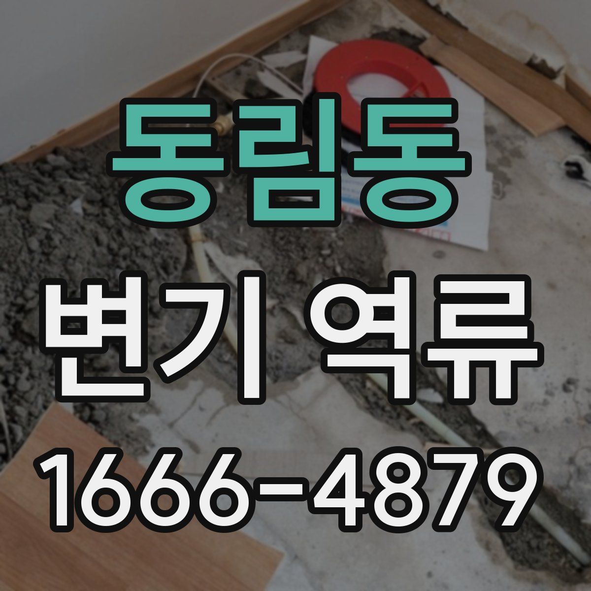 동림동 변기 역류