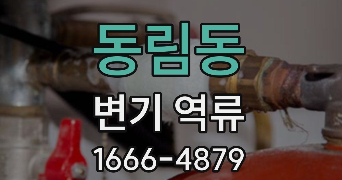 동림동 변기 역류