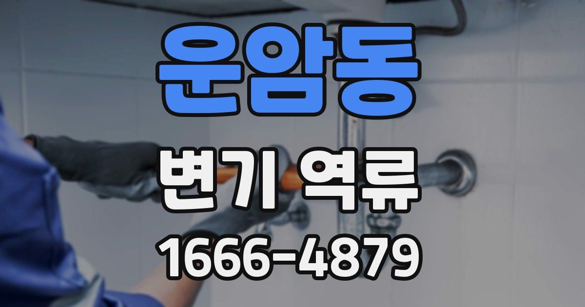운암동 변기 역류
