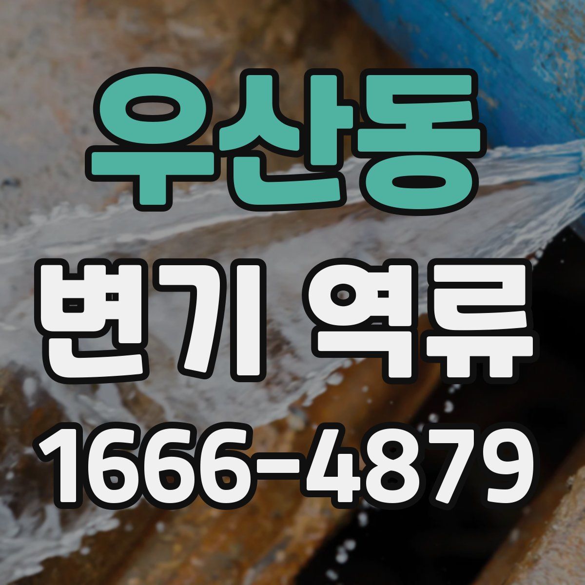 우산동 변기 역류