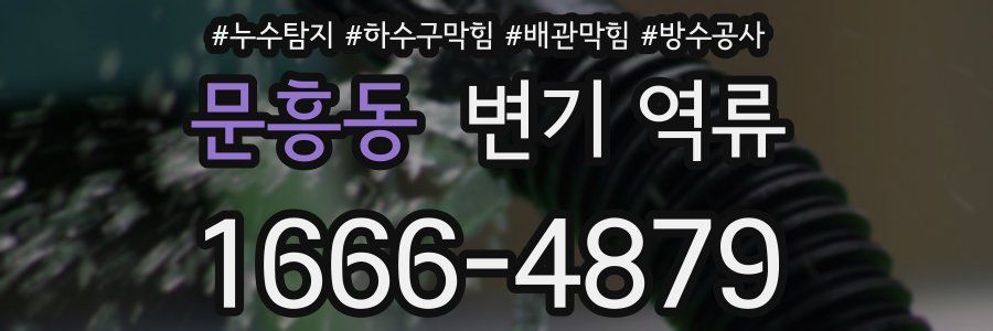 문흥동 변기 역류