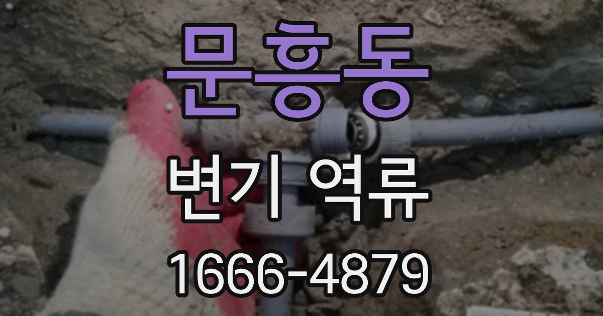 문흥동 변기 역류