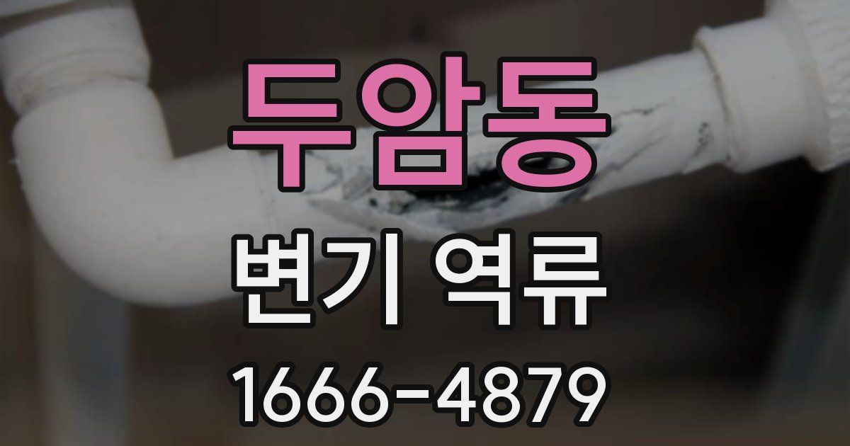 두암동 변기 역류