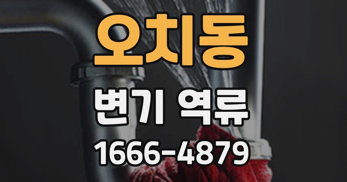 오치동 변기 역류