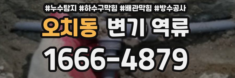 오치동 변기 역류