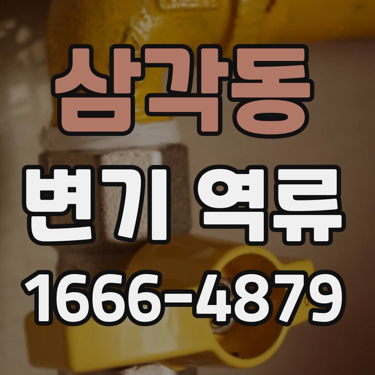 삼각동 변기 역류