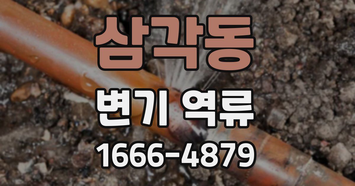 삼각동 변기 역류