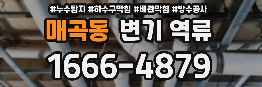 매곡동 변기 역류